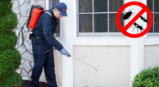 Havza Kemirgen İlaçlama böcek ilaçlama ve haşere kontrolü — ilaclama-tr.com